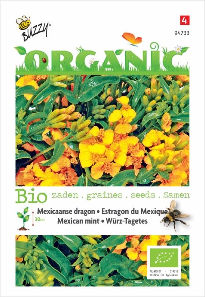Buzzy® Organic Tagetes Lucida, Mexicaanse Dragon (BIO) - Biologische Mexicaanse Dragon Zaden voor Authentieke Gerechten