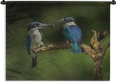 Wandkleed Ijsvogel - Ijsvogels op een tak Wandkleed katoen 60x45 cm - Wandtapijt met foto
