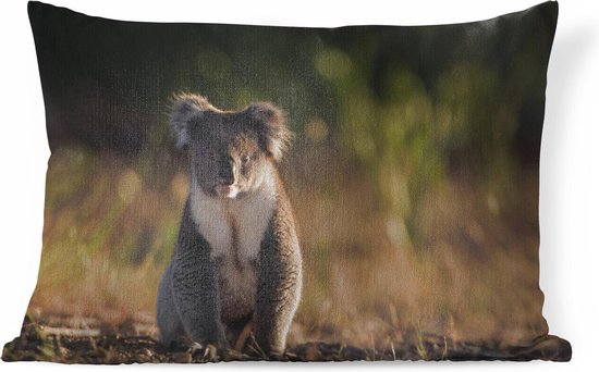 Sierkussens - Kussen - Een koala bij zonsondergang - 60x40 cm - Kussen van katoen