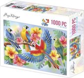 Jigsaw puzzel 1000 pc - Amy Design - Parrots