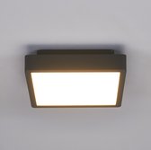 Lucande - LED plafondlamp - 1licht - drukgegoten aluminium, polycarbonaat - H: 6.9 cm - grafietgrijs, opaalwit - Inclusief lichtbron