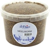 De vries meelworm - 480 gr - 1 stuks