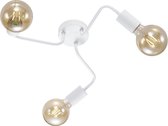LED Plafondlamp - Iona Dolla - E27 Fitting - 3-lichts - Rond - Mat Wit - Aluminium