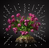 Boeket van 25 Prachtige dubbel roze tulpen met bol - van BOLT Amsterdam - Vers, direct uit eigen kwekerij - Met de hand gebonden - Gratis thuis bezorgd - Exlusieve kwaliteit