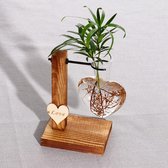 Hydrocultuur Plant| Vazen| Vintage Bloempot| Transparante Vaas| 1 hartje|  Houten Frame met Glazen vaas| Planten |Thuis Bonsai| Decor|Hart Terrarium| Kado tip !