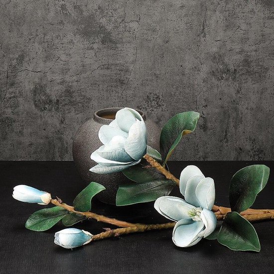 BaykaDecor - Premium Magnolia Kunst Takken Met Bloemen - Decoratie - Ware  Grootte -... | bol.com