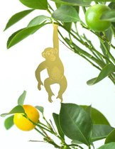 Plant Animal - Chimpanzee