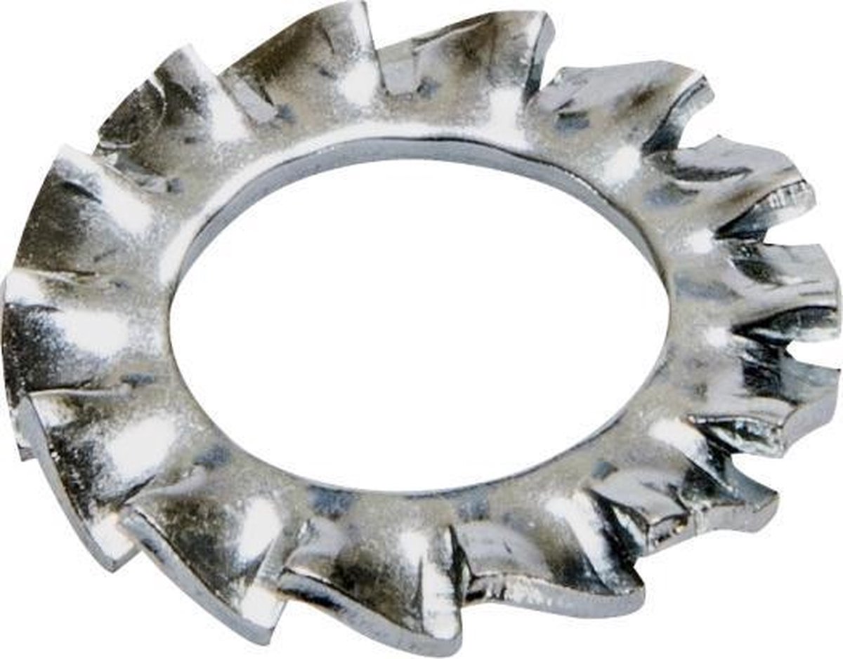 tandveerring M6 60 stuks gegalvaniseerd