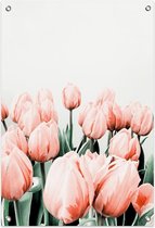 Pink Tulips Tuinposter (60x90cm) - Wallified - Tekst - Zwart Wit - Poster - Wall-Art - Woondecoratie - Kunst - Posters  - Wallified - Tuinposter - Tuindoek - Poster Buiten - Tuin decoratie - 