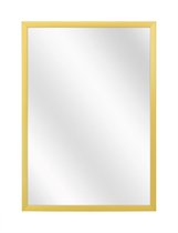 Spiegel met Luxe Aluminium Lijst - Mat Goud - 50 x 60 cm