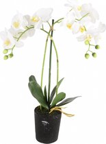 Kunstplant orchidee wit - 2 tak h53cm