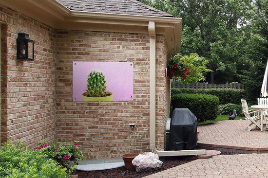 Cactus en pot sur fond rose affiche de jardin toile en vrac 90x60 cm - Toile de jardin / Toile d'extérieur / Peintures d'extérieur (décoration de jardin)