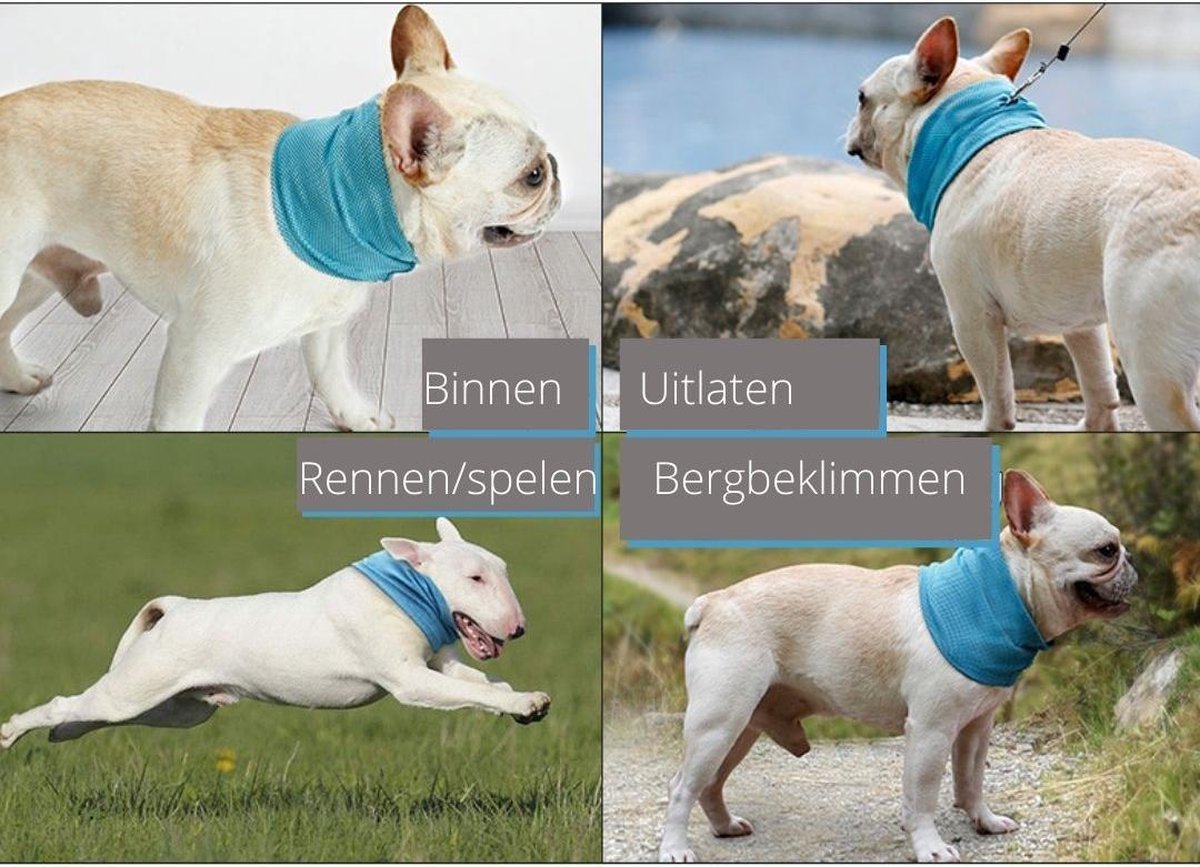 Hondenriem voor verkoeling voor de hond - Halsband geschikt voor  middelgrote/medium... | bol.com