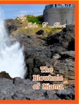 The Blowhole of Kiama.