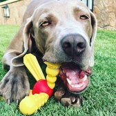 Tasty Bone-honden speelgoed- kauw speelgoed-Large- Chorizo