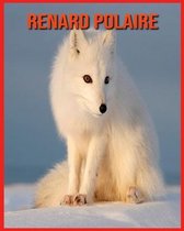 Renard Polaire