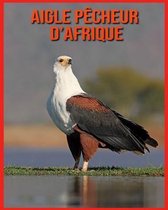 Aigle Pecheur d'Afrique