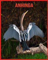 Anhinga