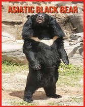 Asiatic Black Bear