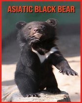 Asiatic Black Bear