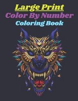Large Print Color By Number Coloring Book