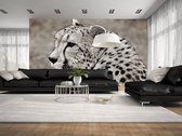 Professioneel Fotobehang Cheetah sepia - sepia - Sticky Decoration - fotobehang - decoratie - woonaccesoires - inclusief gratis hobbymesje - 355 cm breed x 240 cm hoog - in 7 verschillende fo