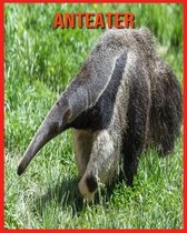 Anteater