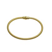 Silventi 910470551 Zilveren Armband - Slang - Magneetsluiting - 19cm - Zilverkleurig - Goudkleurig