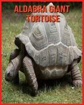 Aldabra Giant Tortoise
