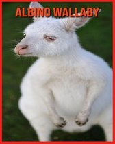 Albino Wallaby