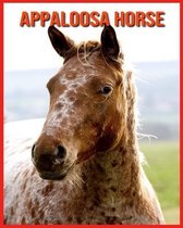 Appaloosa Horse