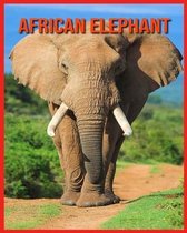 African Elephant