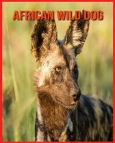 African wild dog