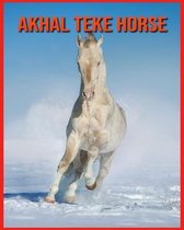 Akhal Teke Horse