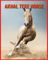 Akhal Teke Horse