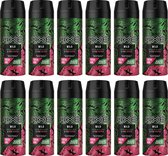 AXE Deospray / Bodyspray – Wild Fresh Bergamot & Pink Pepper - JUMBOPAK 12 x 150 ml