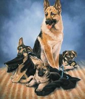 Eagle® Diamond Painting Volwassenen - Duitse Herder met Puppy's - 50x40cm - Vierkante Steentjes