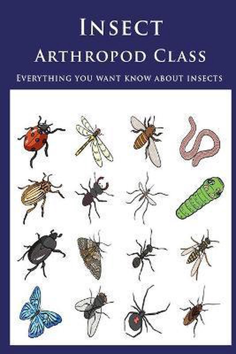 Insect - Arthropod Class - Cynthia Darden