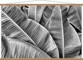 Schoolplaat – Bladeren in Zwart Wit - 120x80cm Foto op Textielposter (Wanddecoratie op Schoolplaat)