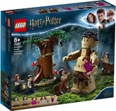 LEGO Harry Potter Het Verboden Bos: Omber's Ontmoeting met Groemp - 75967