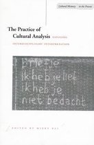 The Practice of Cultural Analysis