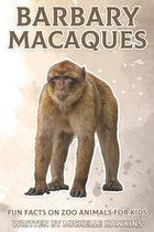 Barbary Macaques