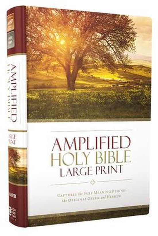 Amplified Holy Bible, Zondervan Publishing 9780310444039 Boeken bol
