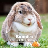 Bunnies 8.5 X 8.5 Calendar September 2021 -December 2022: Monthly Calendar with U.S./UK/ Canadian/Christian/Jewish/Muslim Holidays-Cute Rabbits Pets