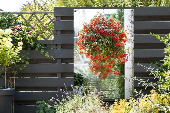 Plante à suspendre à fleurs rouges 120x180 cm XXL / Groot format!