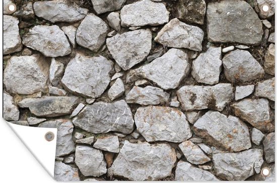 Voorrecht Bakkerij verhouding Tuindecoratie Stenen muur met kleine en grote stenen - 60x40 cm -  Tuinposter | bol.com