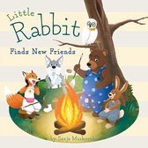 Omslag Little Rabbit Finds New Friends