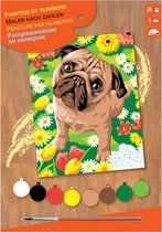 Peinture par numéro Pug