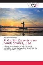 El Gavilán Caracolero en Sancti Spíritus, Cuba