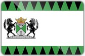 Vlag gemeente Emmen - 100 x 150 cm - Polyester